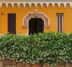 Il profumo del gelsomino... Il profumo del gelsomino...