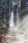 Path of light Path of light