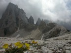 pale di San Martino pale di San Martino