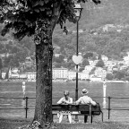 avranno litigato? avranno litigato?