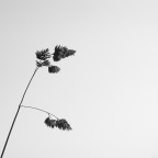 Quel che basta Quel che basta