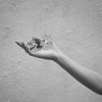 Fotomontaggio Fotomontaggio