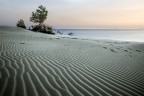 Sulle tracce del vento Sulle tracce del vento