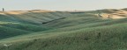 Colline Toscane