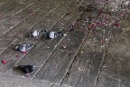 E' qui la festa ? E' qui la festa ?