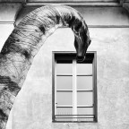 Alla finestra II Alla finestra II