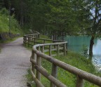 Biscia di lago Biscia di lago