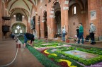 Abbazia di Chiaravalle della Colomba - Si sostituiscono i petali appassiti -