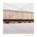 Gabbie marine... Gabbie marine...