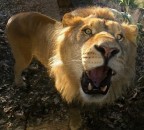 re in 24mm re in 24mm