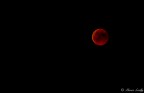 My bloody moon My bloody moon
