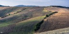 Colline Toscane Colline Toscane