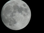 Moon Moon