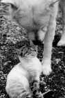 lovers! casper & blondie lovers! casper & blondie