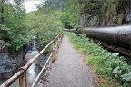 Grossa condotta d'acqua che viene gi da Sella Nevea (UD) costeggiando un torrente. Consigli e critiche sempre ben accetti.