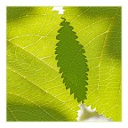 luce e ombra luce e ombra