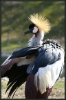 bellezza naturale bellezza naturale
