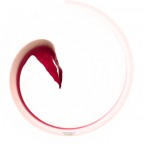 Rotondo come il mondo Rotondo come il mondo