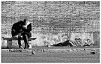 Piccioni Piccioni