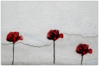 Tre papaveri rossi... Tre papaveri rossi...