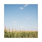 Monotonie padane Monotonie padane