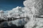 Infrared_DSC_4908 Infrared_DSC_4908