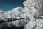 Infrared_DSC_4908