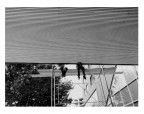 Workers - Tirana Albania Workers - Tirana Albania