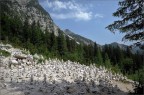 Piccoli cumuli di pietre lasciate come ricordo dagli escursionisti presso passo Vrsic (1600m.) Slovenia. Consigli e critiche sempre ben accetti.