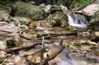 Torrente Lacerno Torrente Lacerno