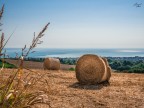 Colline abruzzesi Colline abruzzesi