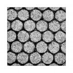 Variazioni Variazioni