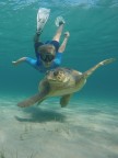 Incontro magico quest'estate per Dario: un grosso maschio di Caretta caretta.

Purtroppo avevo solo una gopro 4 per ritrarlo.

Critiche e commenti welcome