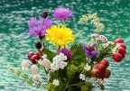 *** Flowers ***