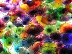 fiori di vetro fiori di vetro