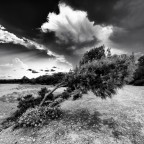 Resilienza Resilienza