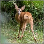 Meglio guardarsi le spalle. Meglio guardarsi le spalle.