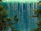*** Alberi ***