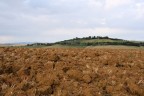 Colline di Orciano Pisa