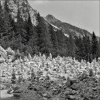 Verso passo Vrsic 1800m (Slovenia) - Rolleiflex - Tessar 3,5 - Pellicola HP5 - Epson V500. Consigli e critiche sempre ben accetti.