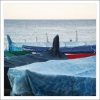 Punte d'estate Punte d'estate