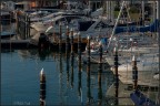 Riflessi