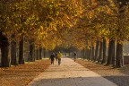 autunno