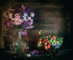 fiori di campo