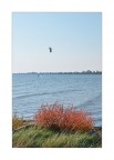 Autunno img.04