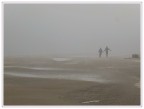 nebbia....