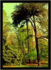 Parco Sempione.