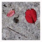 Guardando per terra Guardando per terra