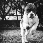 Di corsa!! Di corsa!!