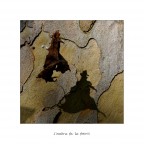 L'ombra fa la foto!!! L'ombra fa la foto!!!